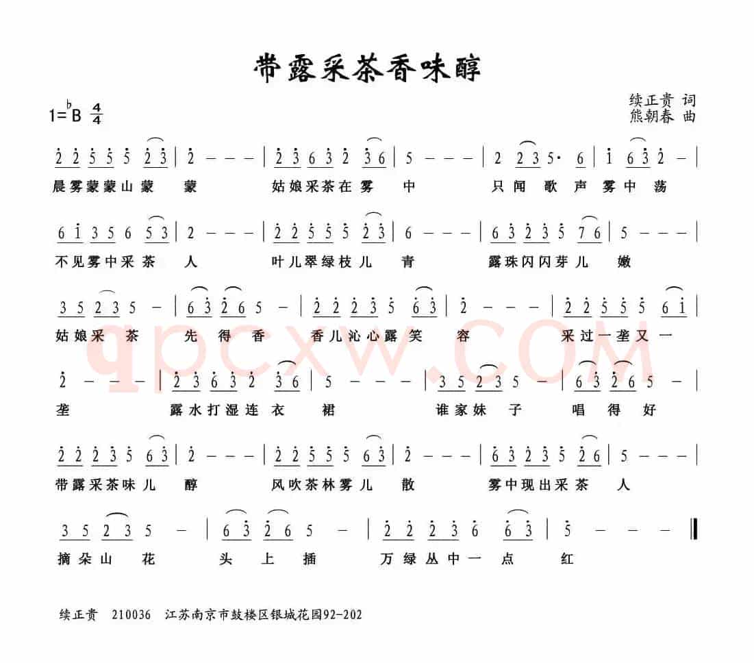 带露采茶品香醇
