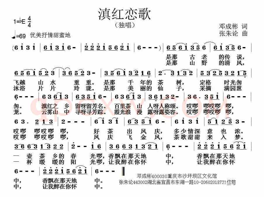 滇红恋歌