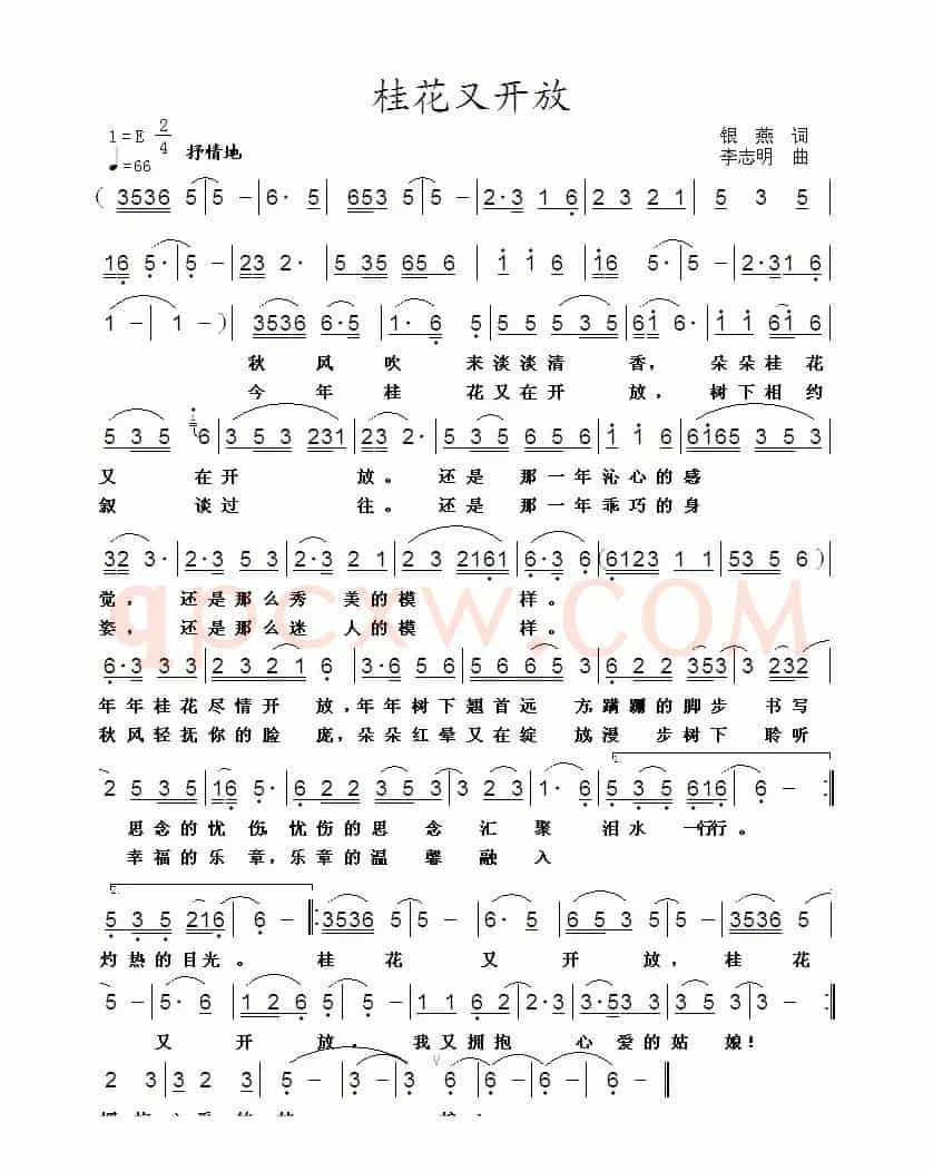 桂花又开放