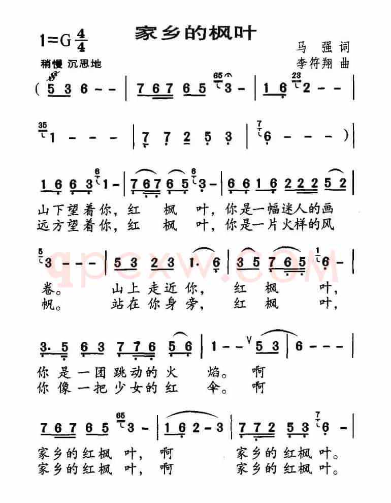 家乡的枫叶