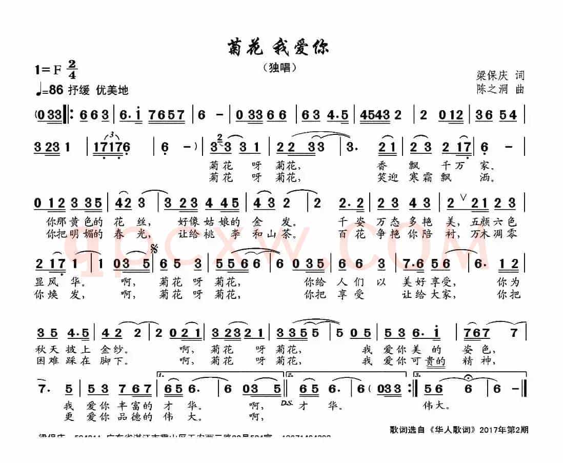 菊花 我爱你