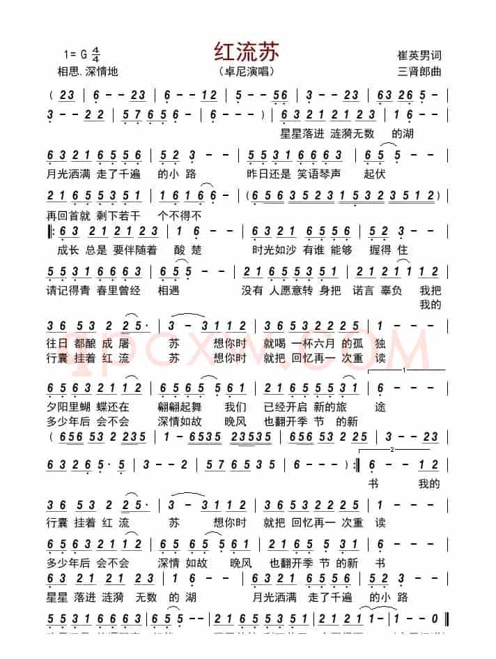 红流苏