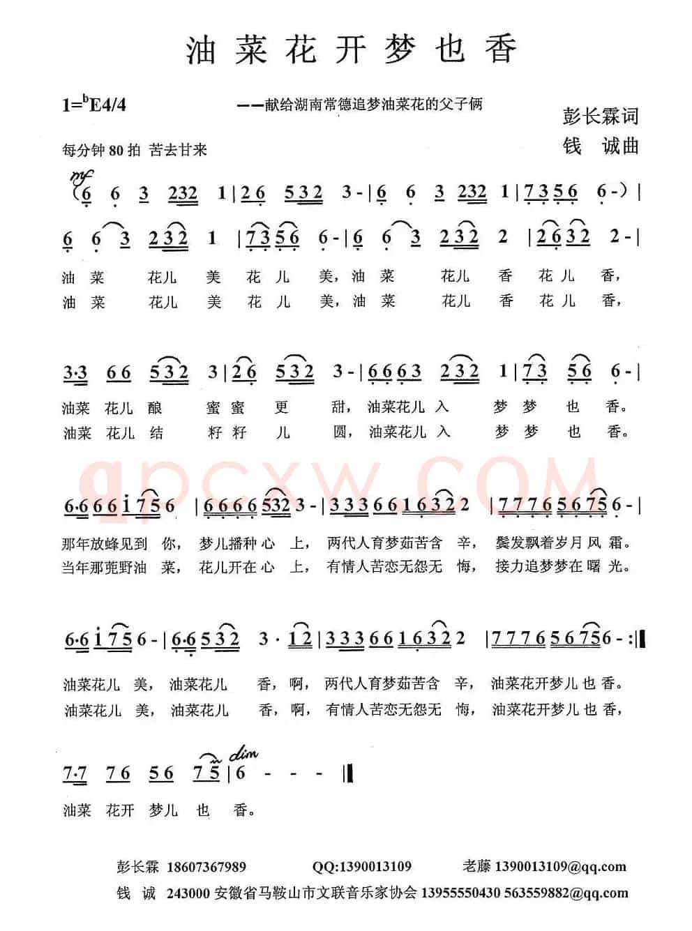 油菜花开梦也香