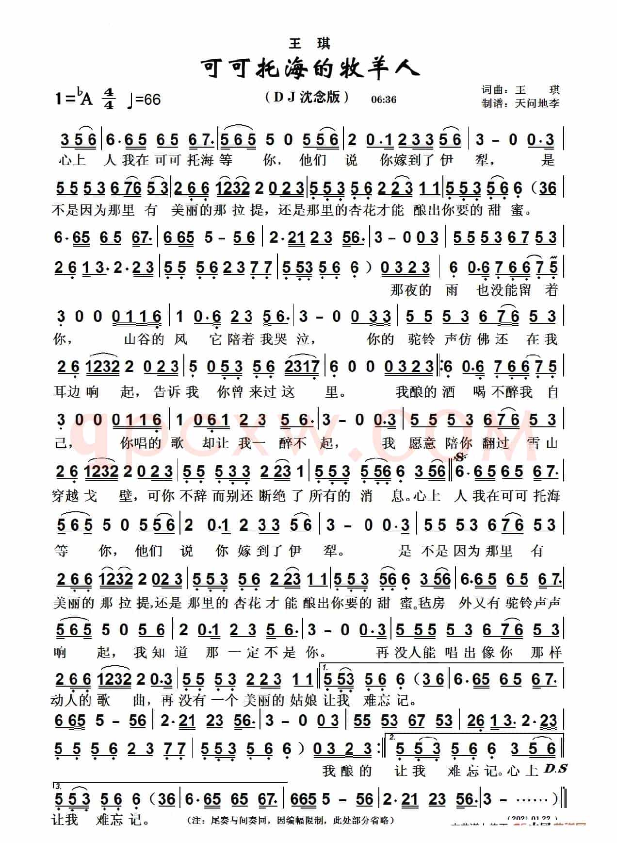 可可托海的牧羊人（DJ沈念版）