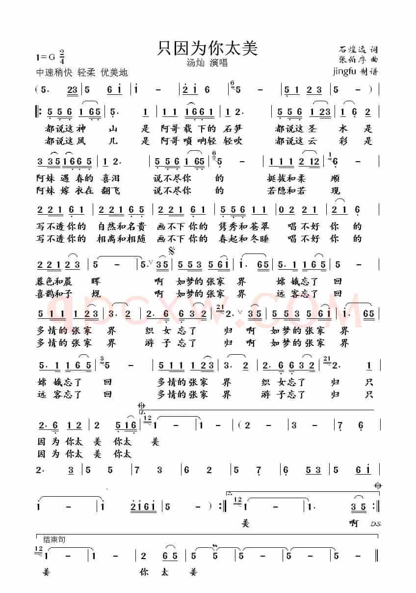 只因为你太美