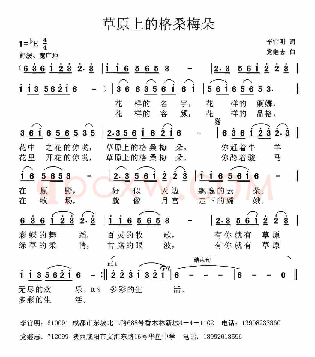 草原上的格桑梅朵 