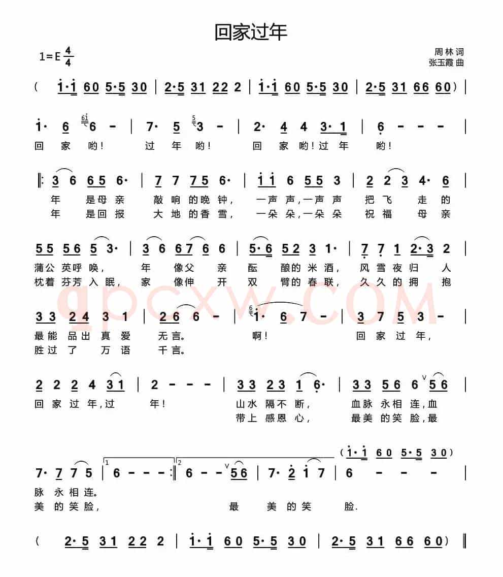 回家过年（周林词 张玉霞曲）