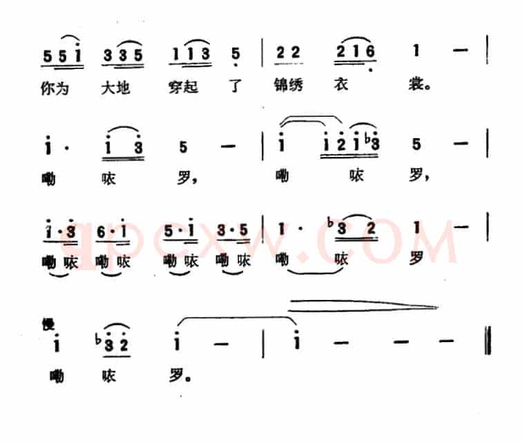 闪亮的露水落在草上