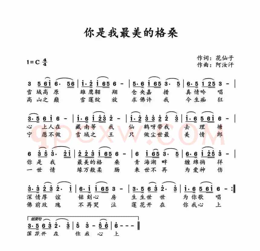 你是我最美的格桑