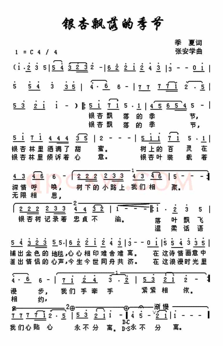 银杏飘落的季节(季夏词 张安学曲)