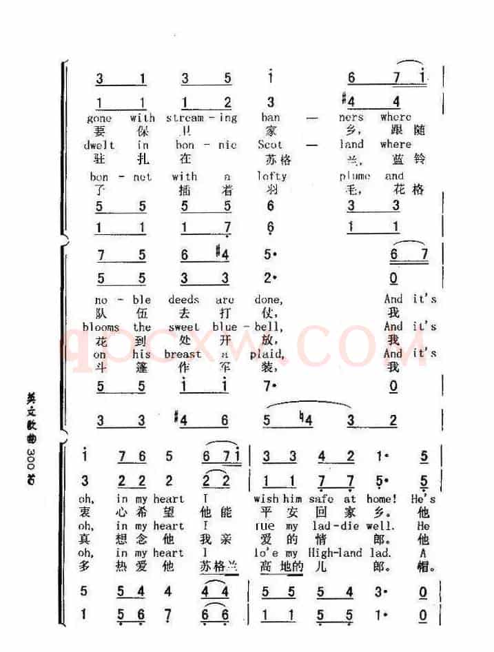 苏格兰的蓝铃花