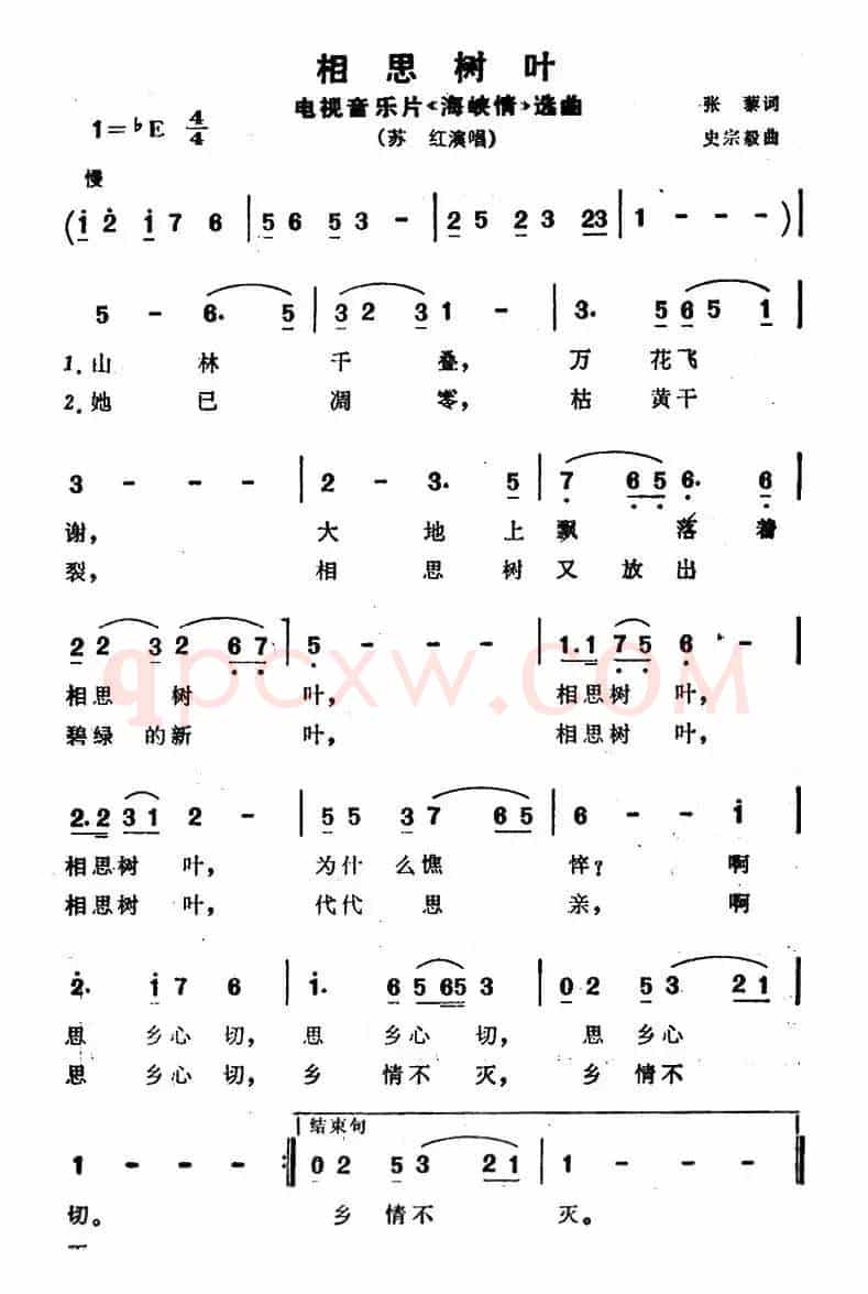 相思树叶（电视音乐片《海峡情》选曲）