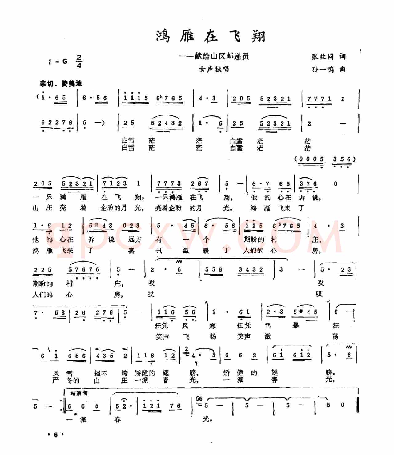 鸿雁在飞翔