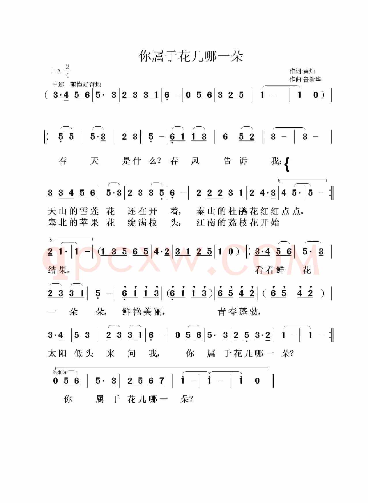 你属于花儿哪一朵（少儿歌曲）