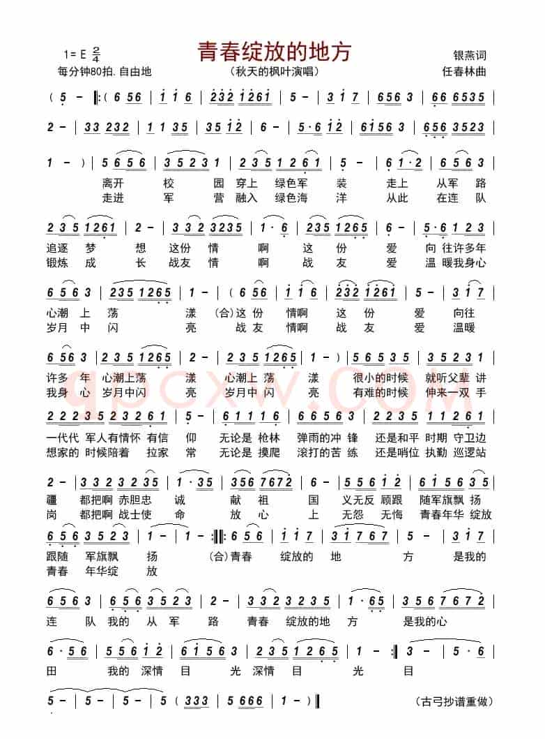 青春绽放的地方