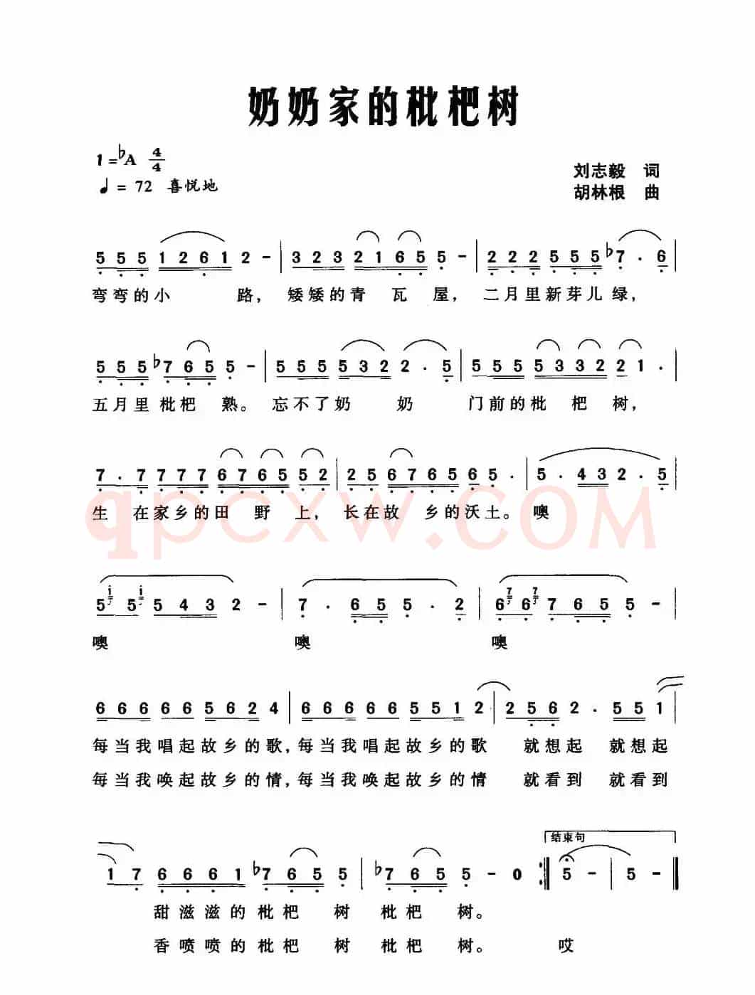 奶奶家的枇耙树