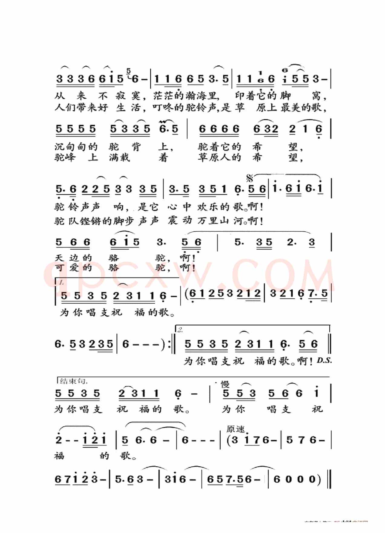 天边的骆驼（大字老人适用）