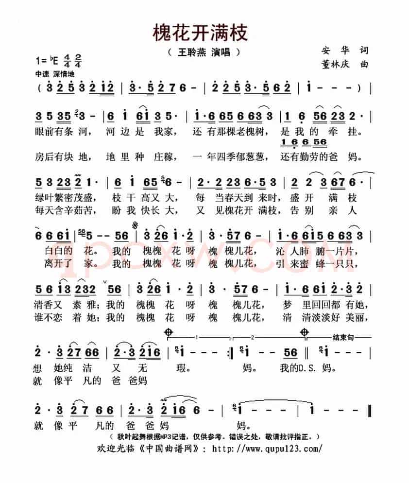 槐花开满枝