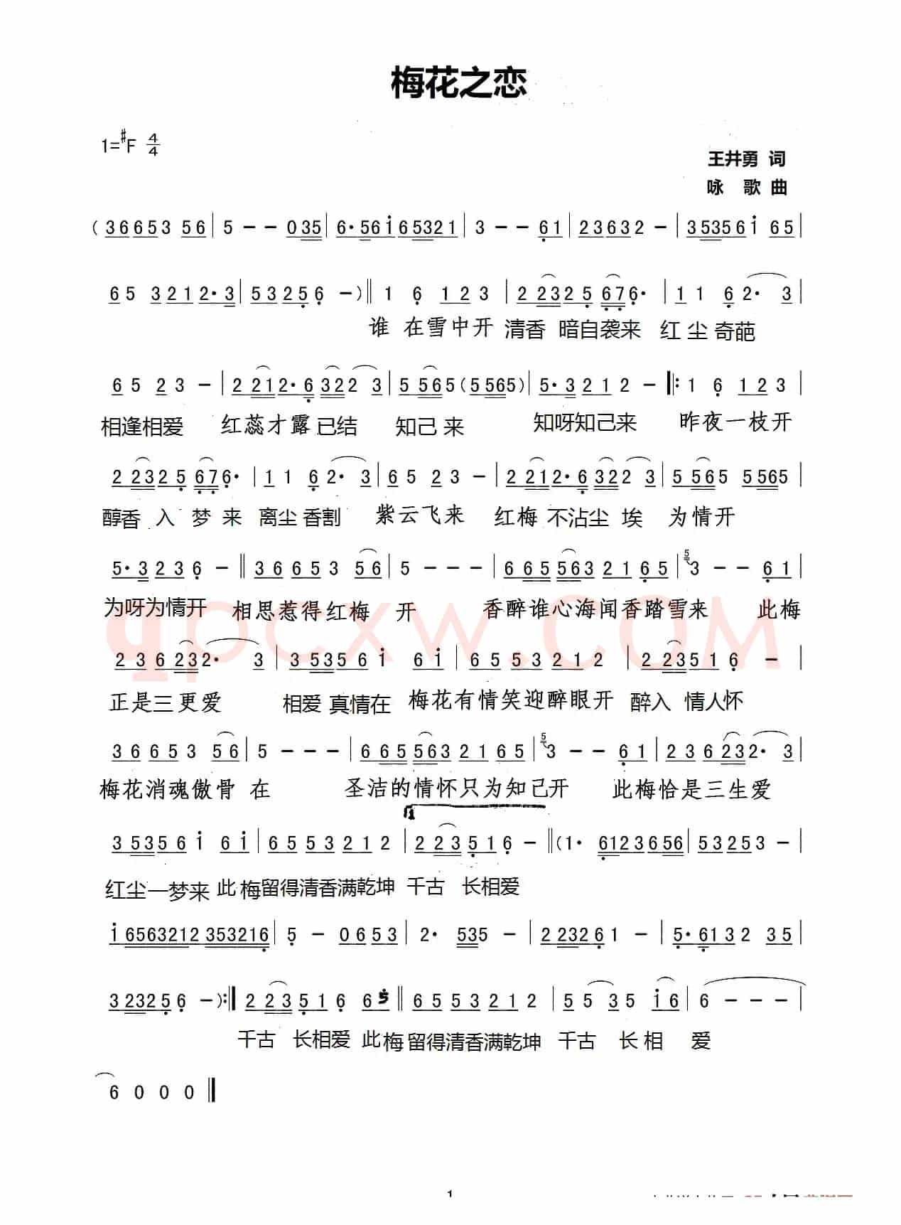梅花之恋