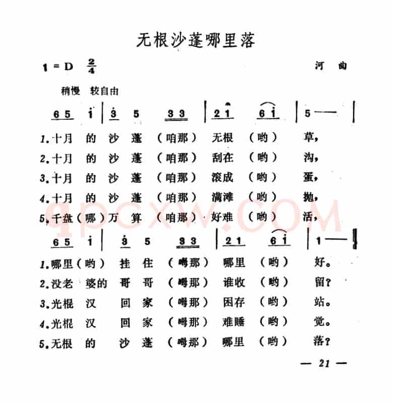 无根沙蓬哪里落