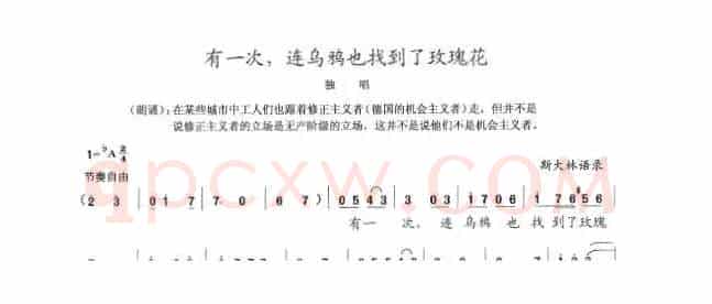 有一次，连乌鸦也找到了玫瑰花