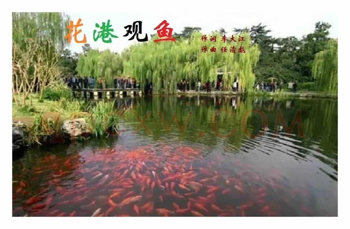 花港观鱼