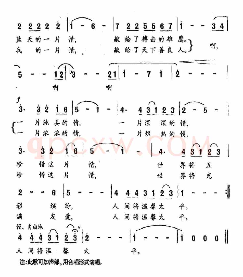 一片情