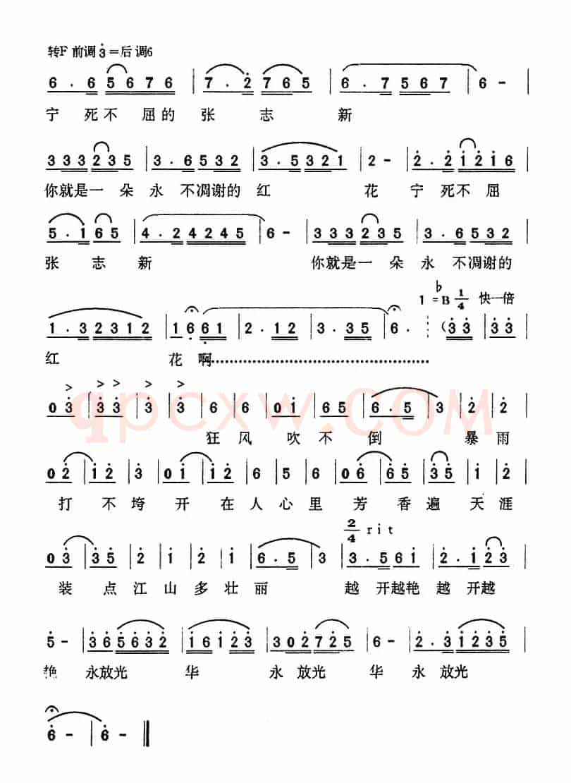 红花曲