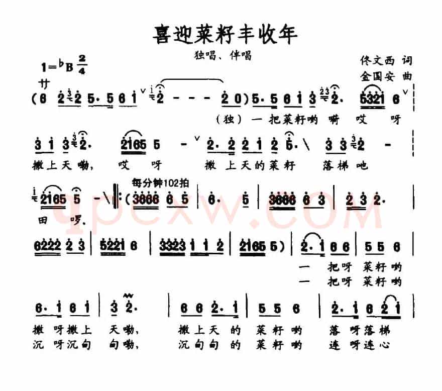 喜迎菜籽丰收年