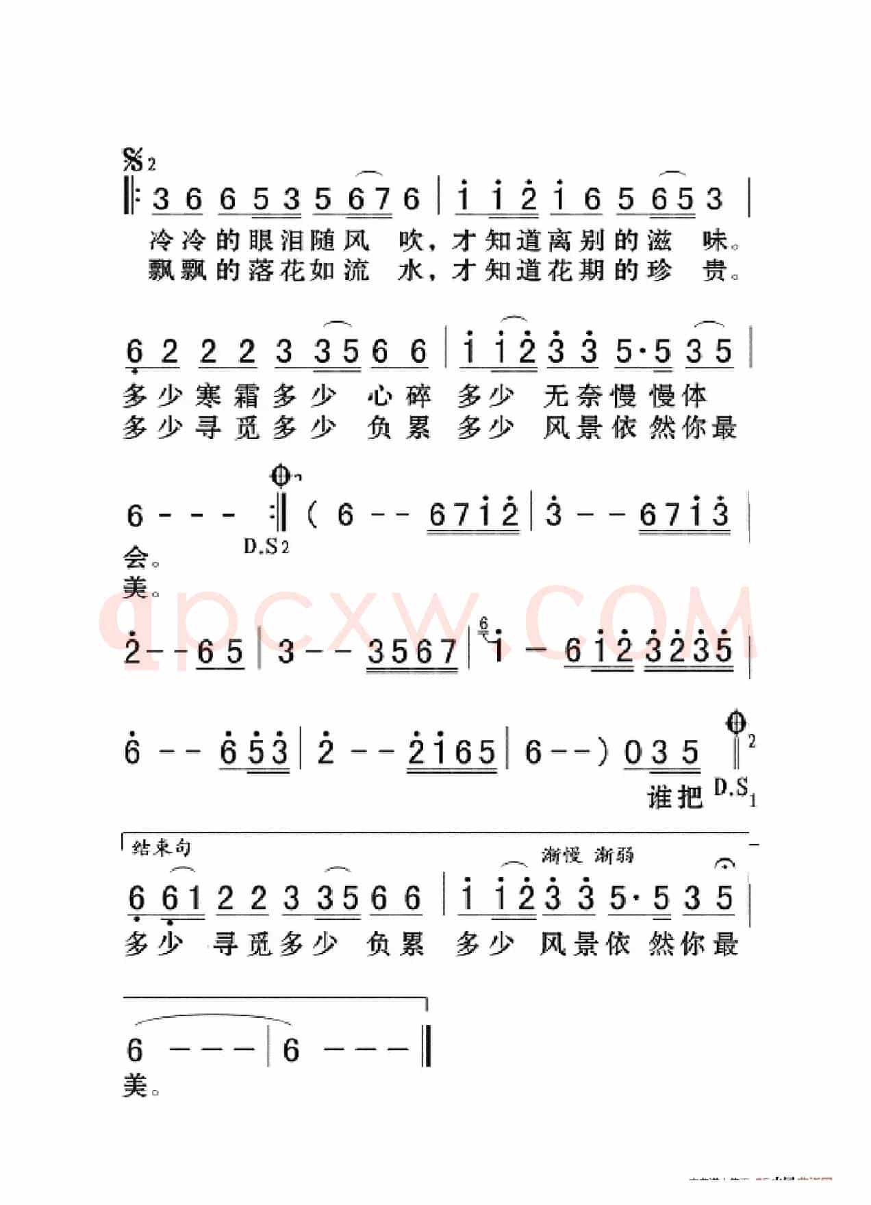 一曲红尘（大字老人适用）