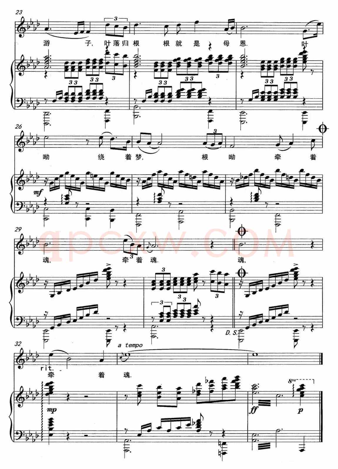叶落归根（张国良词 许淳曲）（正谱）