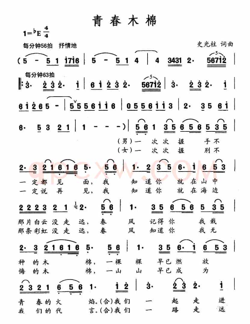青春木棉