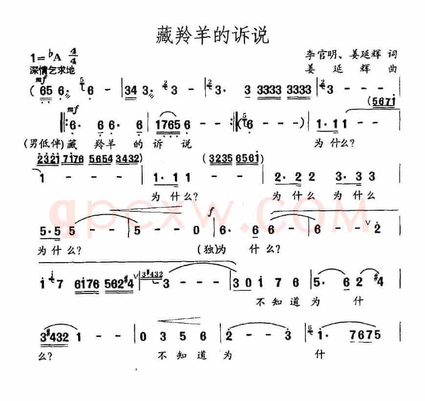 藏羚羊的诉说