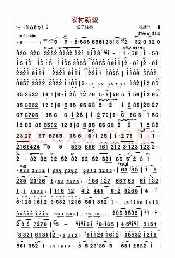 农村新貌（笛子独奏）