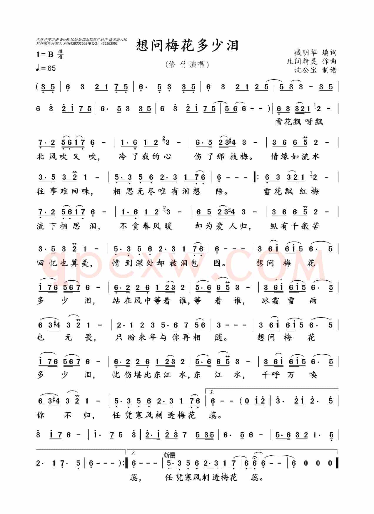 想问梅花多少泪