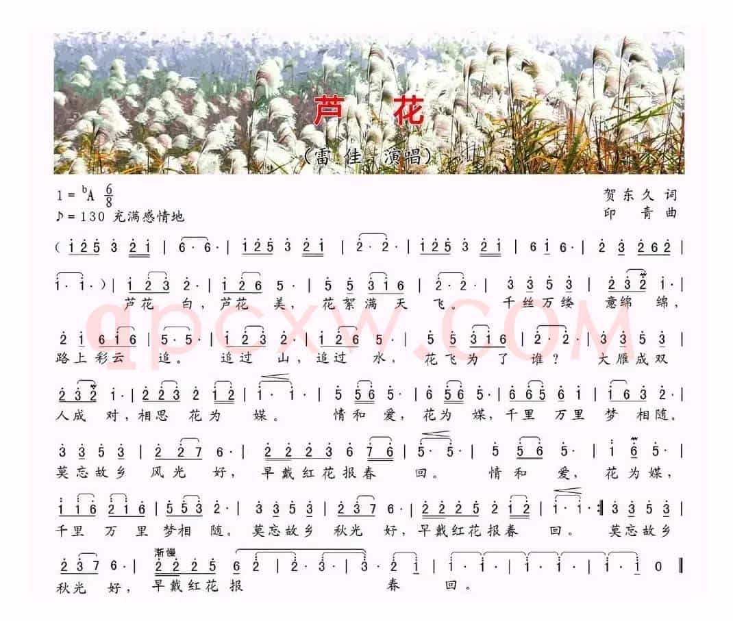 芦花（贺东久词 印青曲）