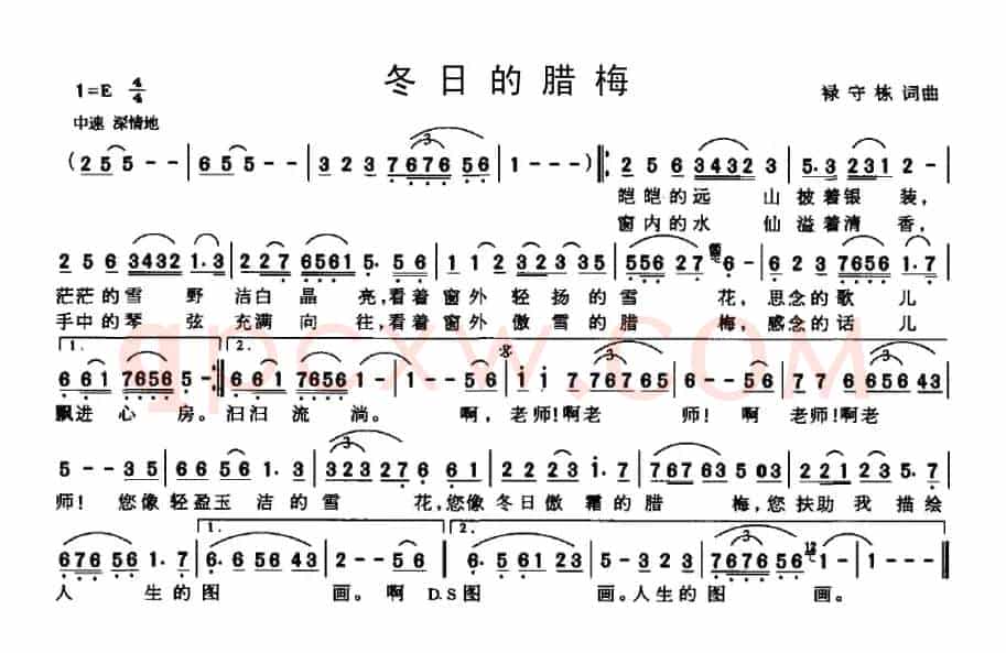 冬日的腊梅