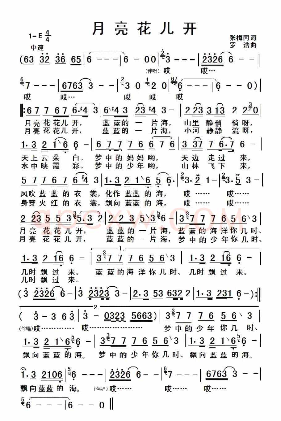月亮花儿开