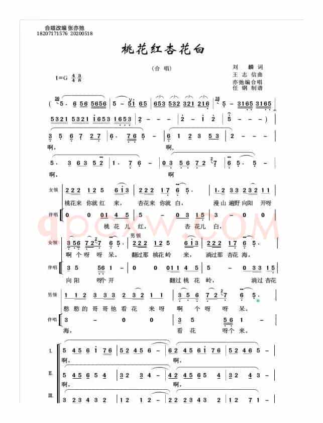 桃花红 杏花白（亦弛改编）（领唱 合唱）