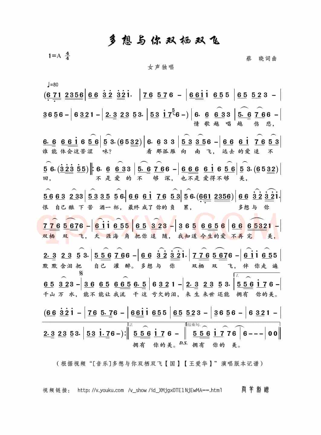 多想与你双栖双飞（蔡晓词曲）