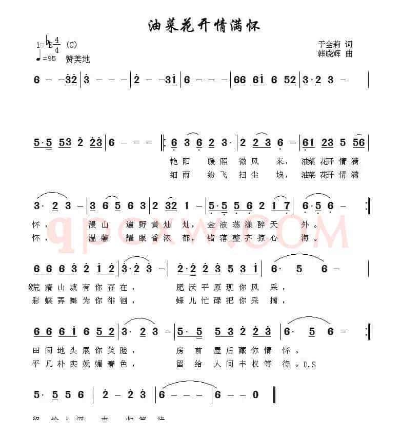 油菜花开满情怀