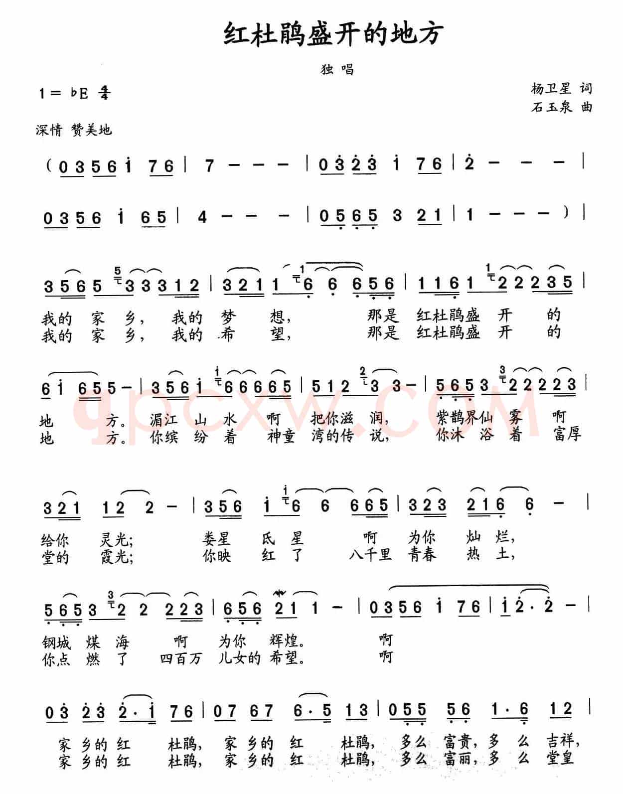 红杜鹃盛开的地方