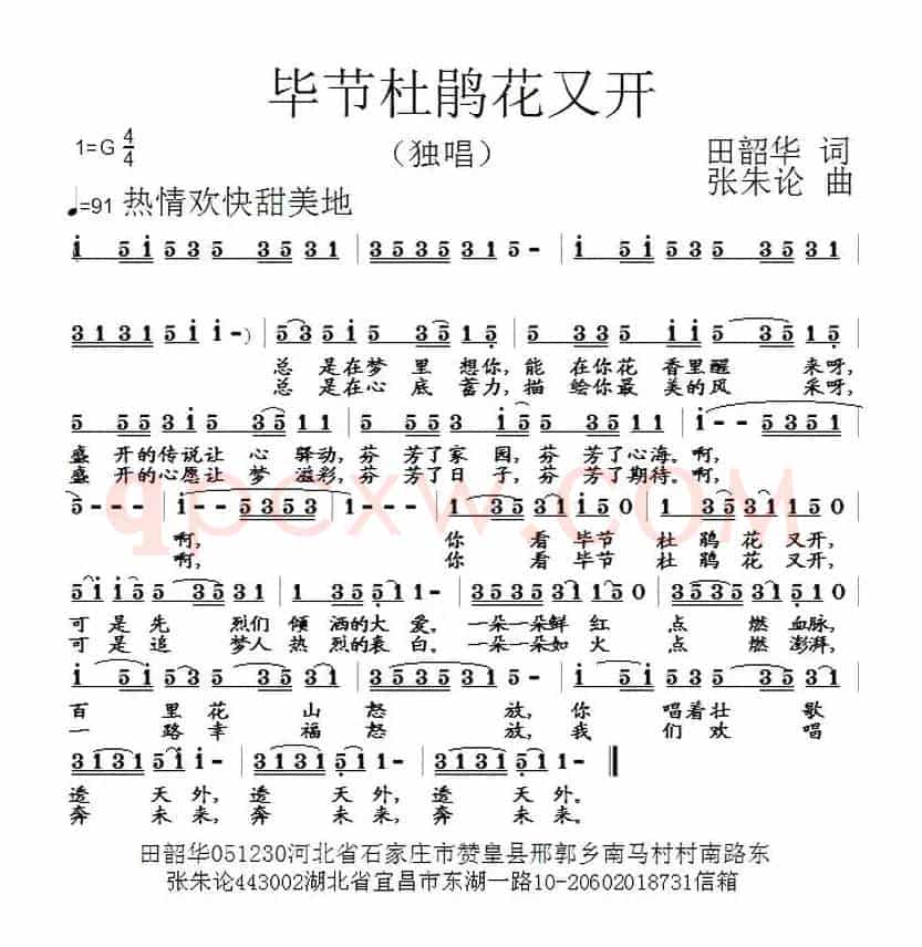 毕节杜鹃花又开