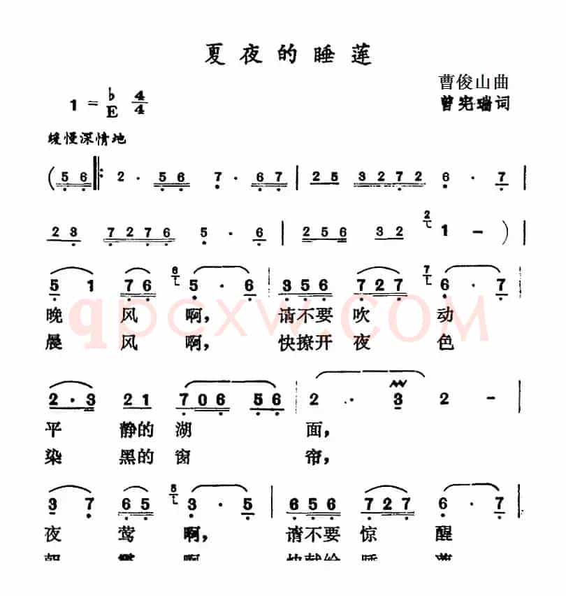 夏夜的睡莲