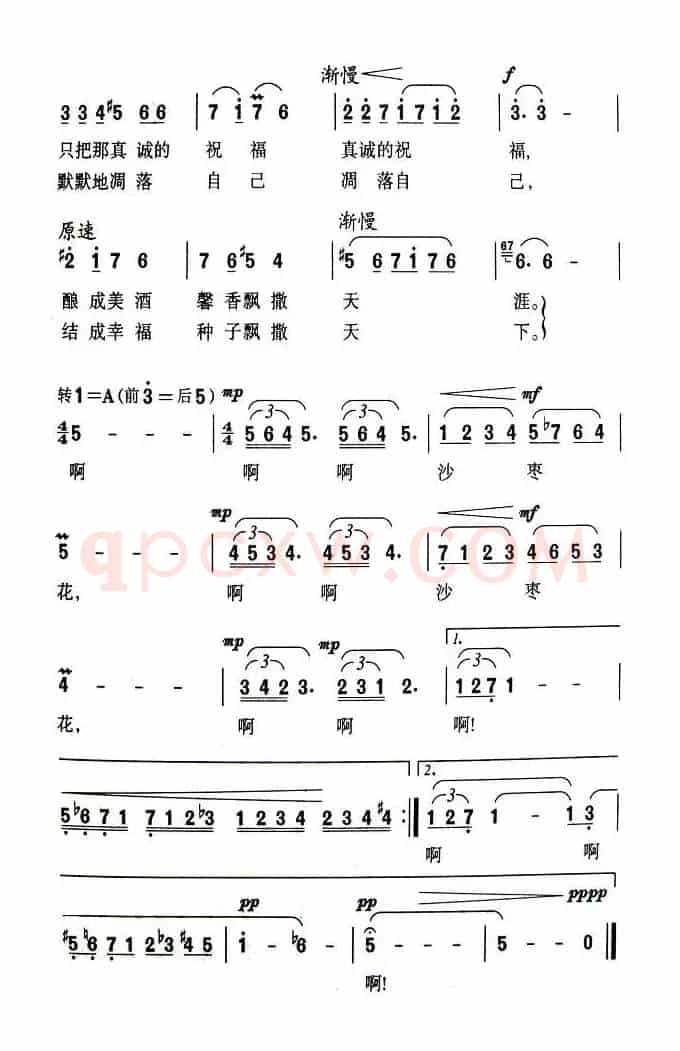 醉人的沙枣花