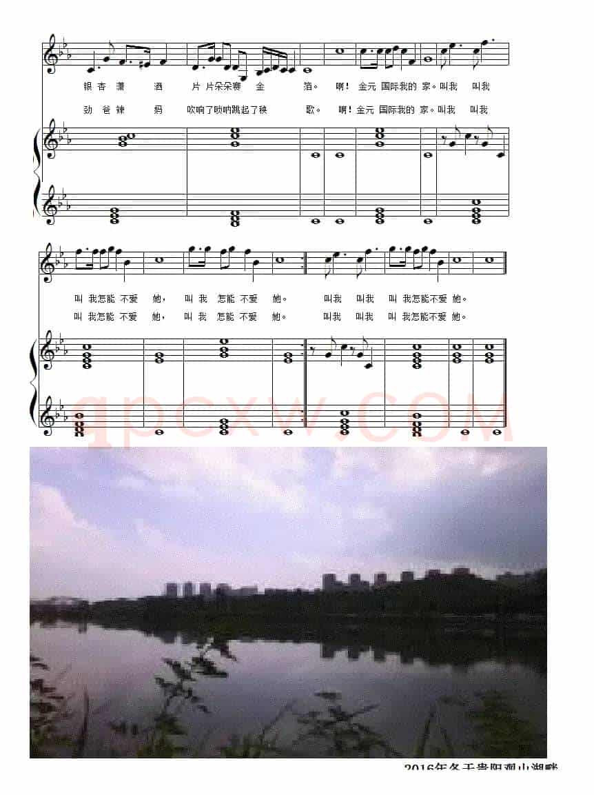 叫我怎能不爱她(钢琴伴奏版)