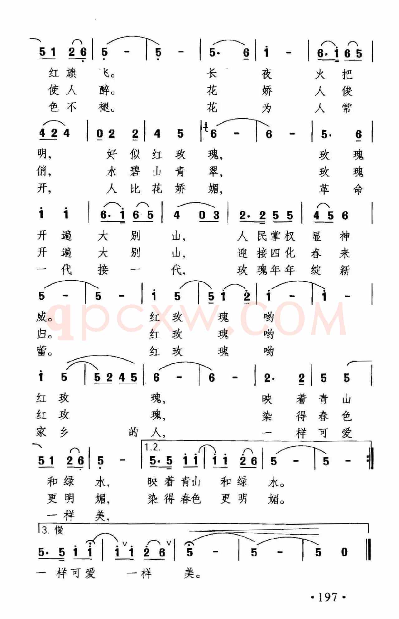 我爱家乡的红玫瑰