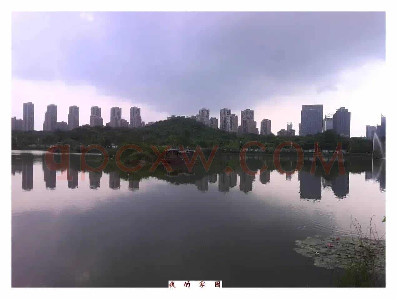 叫我怎能不爱她(五线谱版)