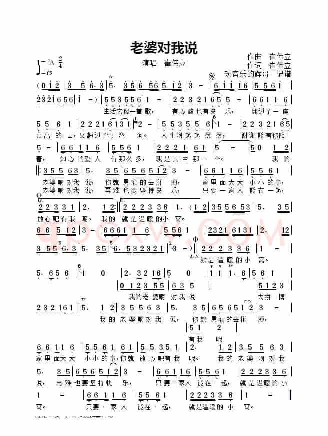 老婆对我说（崔伟立）