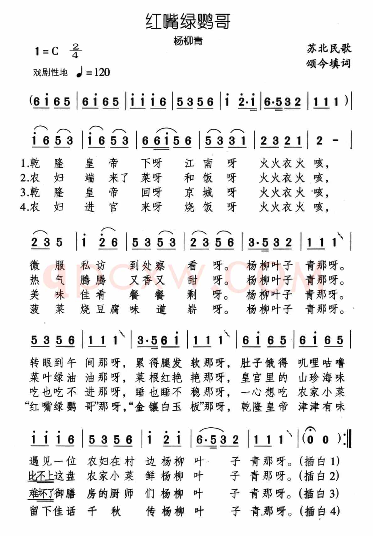 红嘴绿鹦哥（杨柳青）